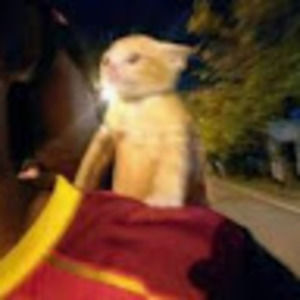 Meet your Posher, Mia